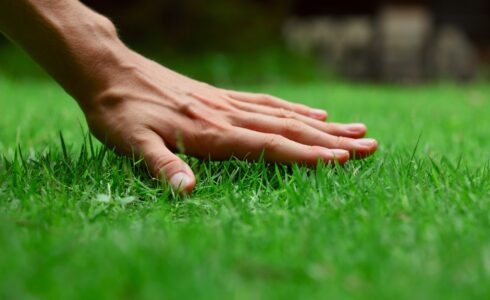 advertise a landscaping business